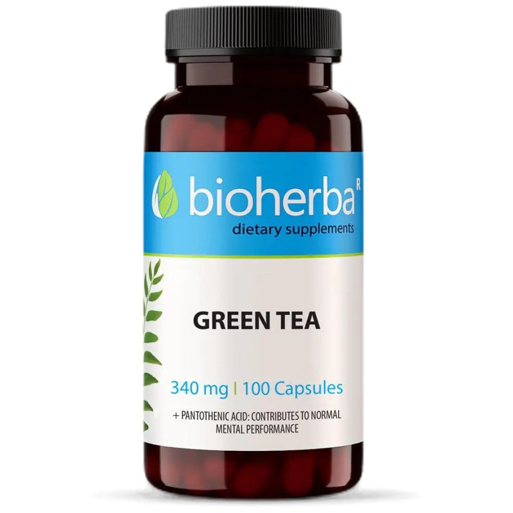 Grüner Tee 340 mg – 100 Kapseln