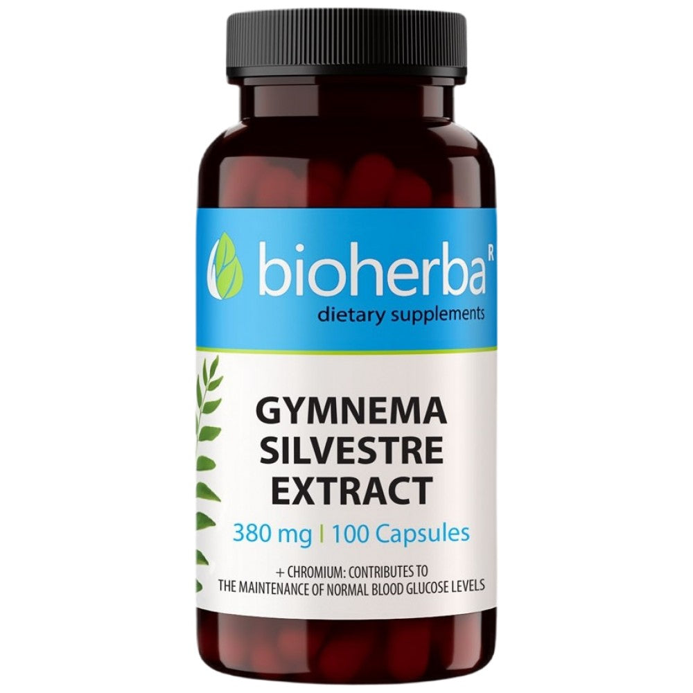 Gymnema Sylvestre-Extrakt 380 mg – 100 Kapseln