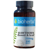 Weißdornblüten und -blätter 250 mg – 100 Kapseln