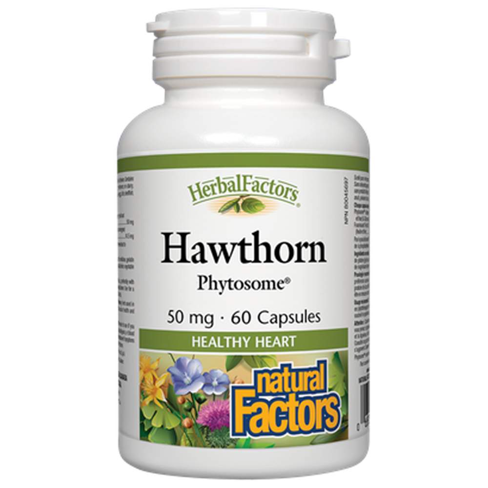 Weißdorn-Phytosom 50 mg 60 Kapseln