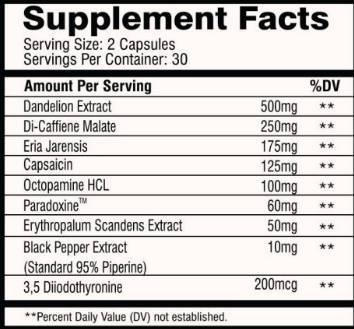 Hybrid | Thermogenes Pre-Workout – 60 Kapseln