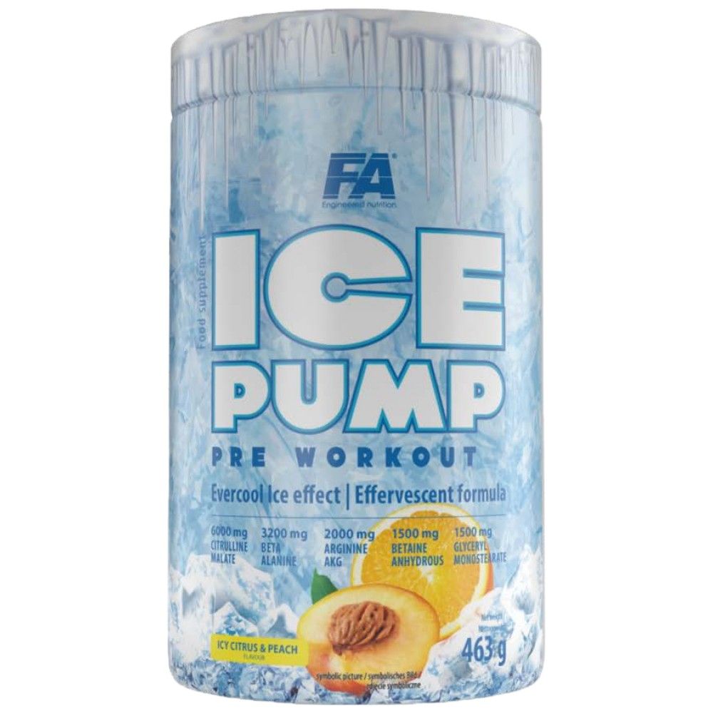ICE Pump/Evercool Pre-Workout – 463 Gramm