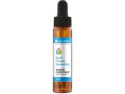 Bach fallen weiße Kastanien 20 ml