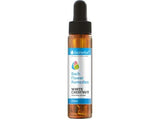 Bach fallen weiße Kastanien 20 ml