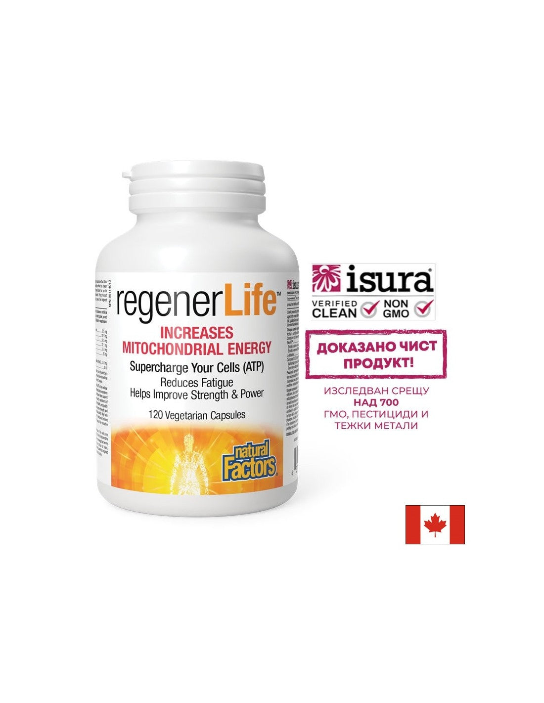 Regener Life™ erhöht die mitochondriale Energie – 120 Kapseln