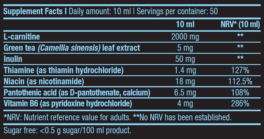 L-Carnitin 100.000/500 ml Flüssigkeit