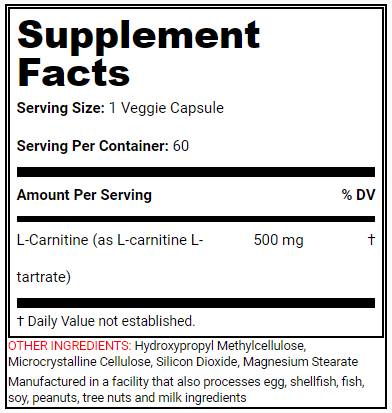 L-Carnitin Power – 60 Kapseln
