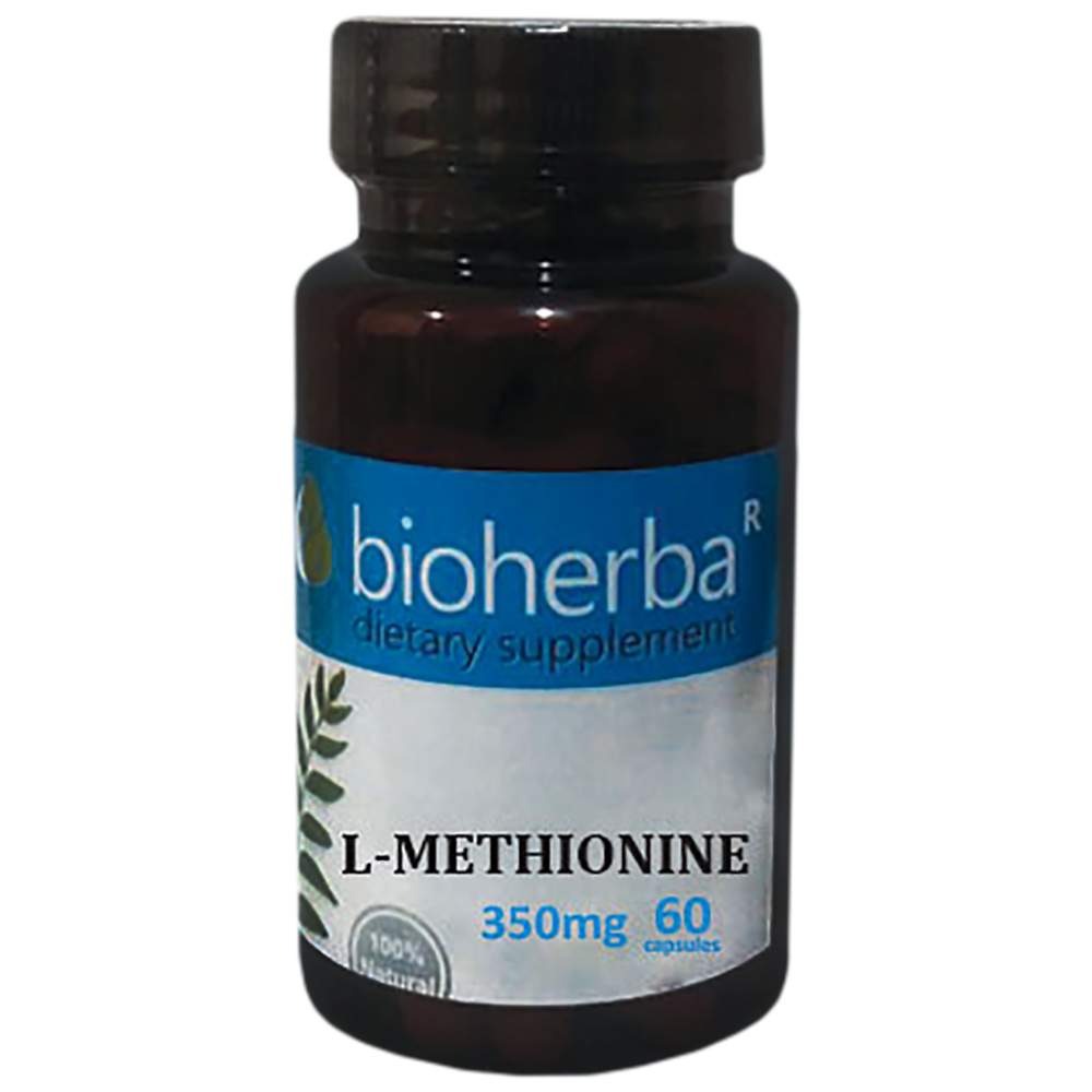 L-Methionin 350 mg – 60 Kapseln