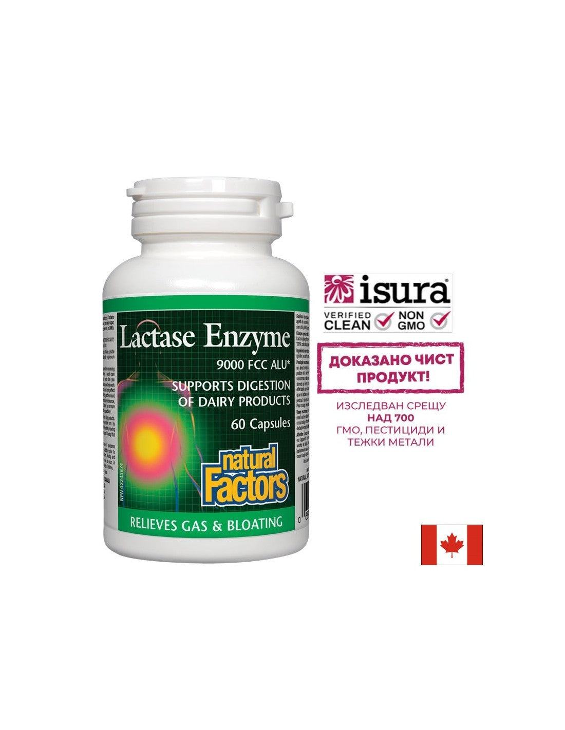Laktaseenzym 250 mg – 60 Kapseln