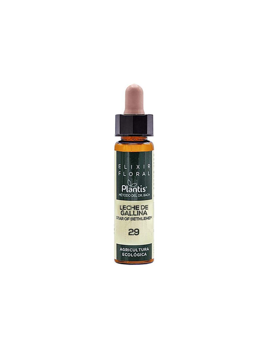 Leche de gallina (Stern von Bethlehem) Elixir Floral 29 – Blumenelixier von Star of Bethlehem, 10 ml Arte<tc>san</tc>ia