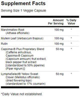 Lymphe Essentials 400 mg 30 Kapseln