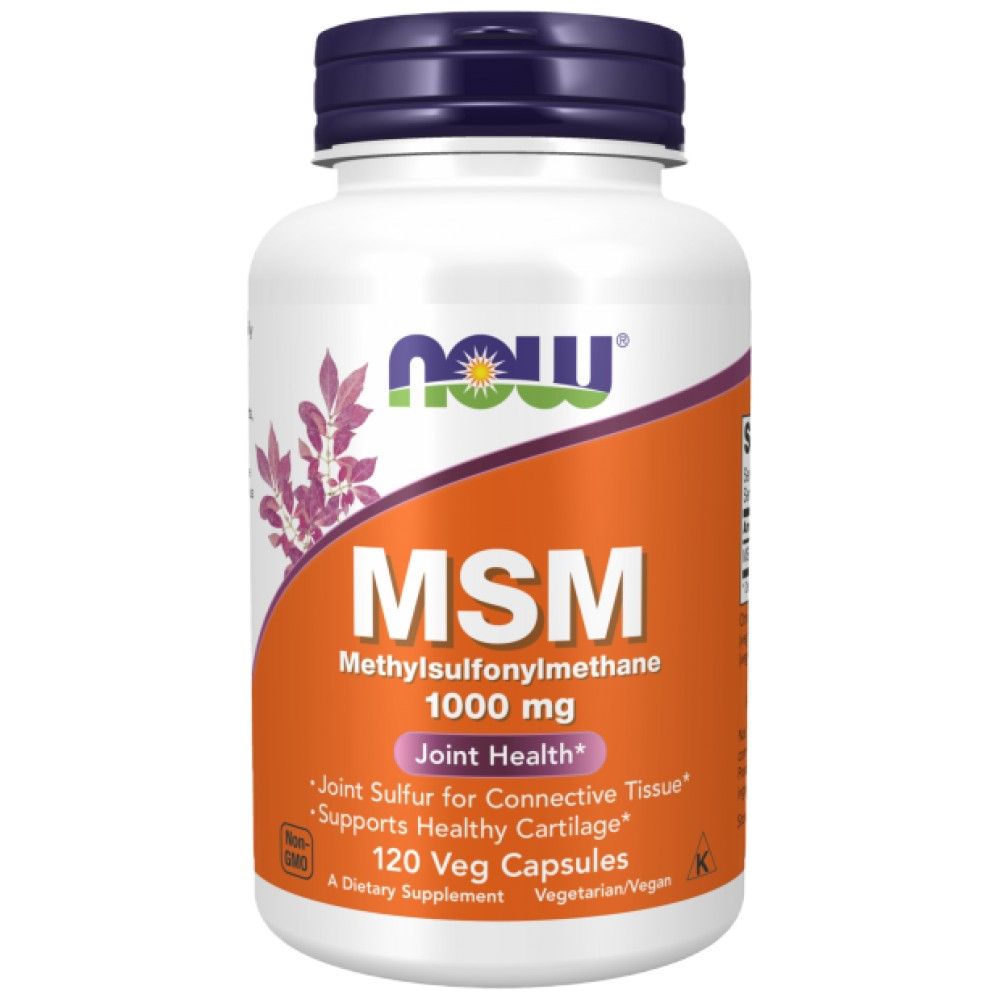MSM 1000 mg – 120 Kapseln