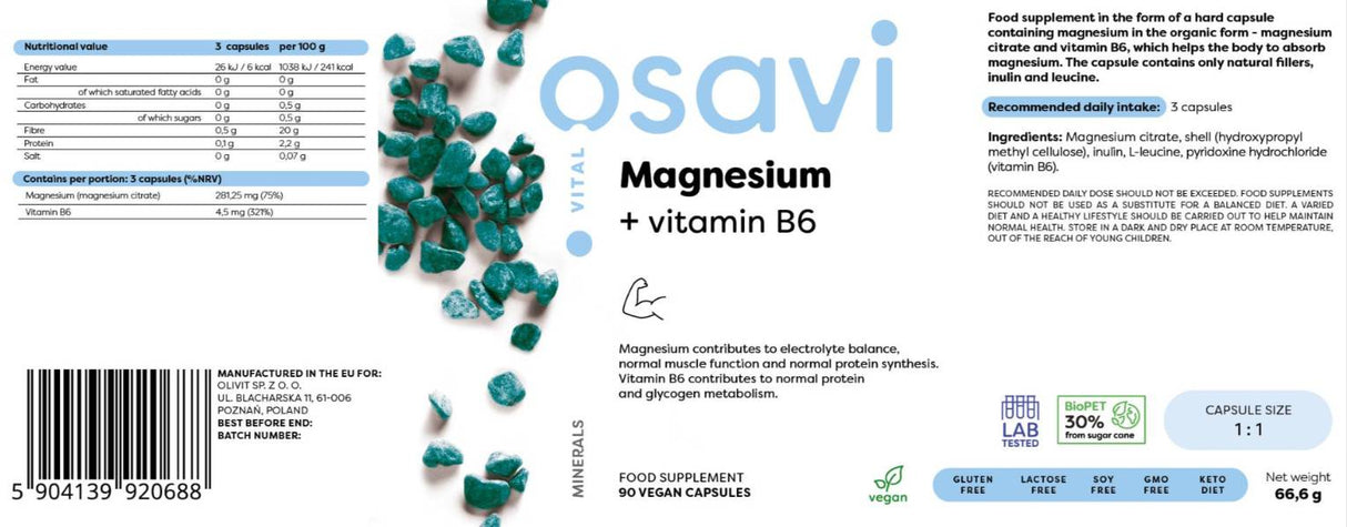 Magnesiumcitrat + Vitamin B6 – 90 Kapseln