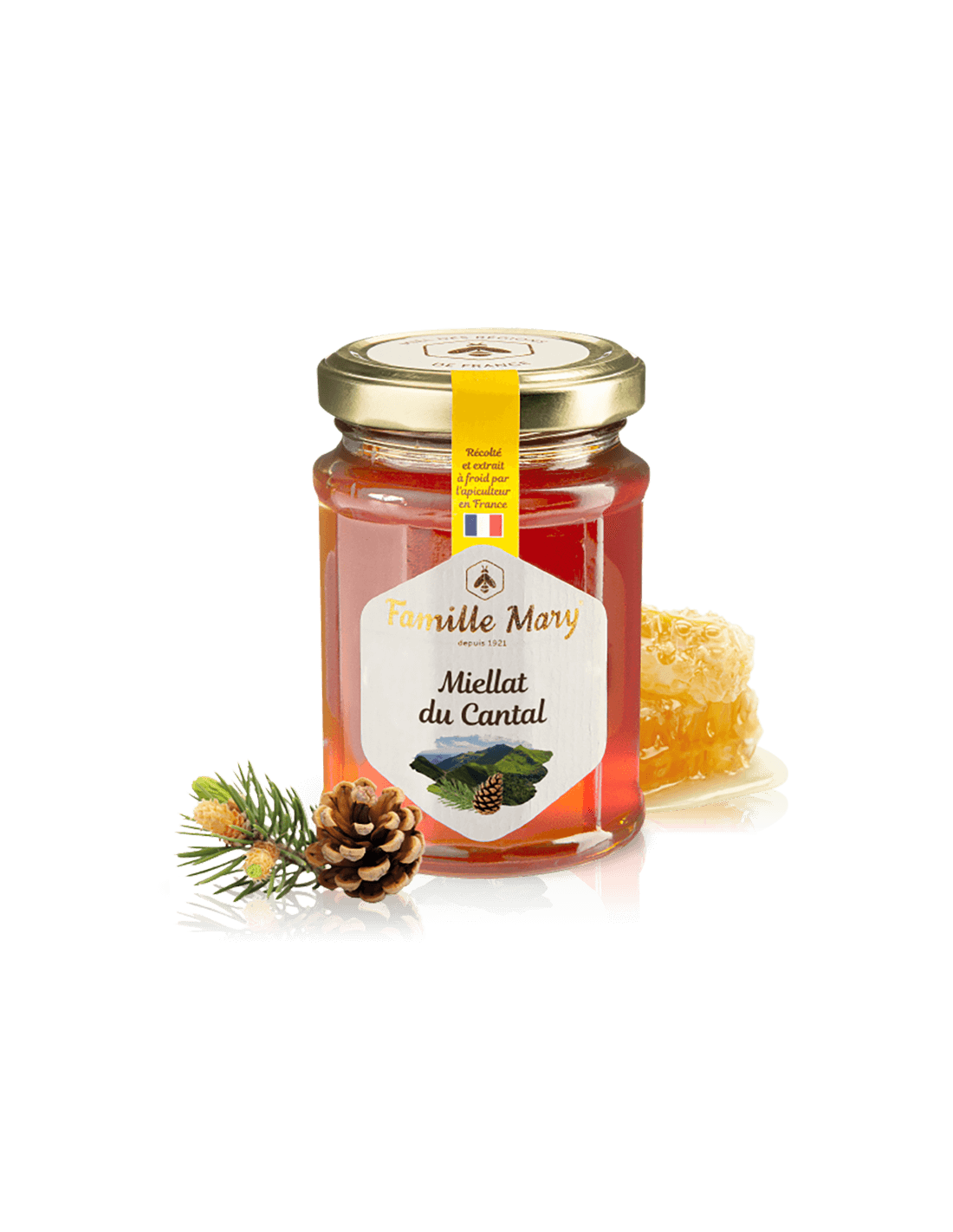 Miellat du Cantal/Bienenhonig (Honigtau) aus Kiefernnadeln, 230 g Famille Mary