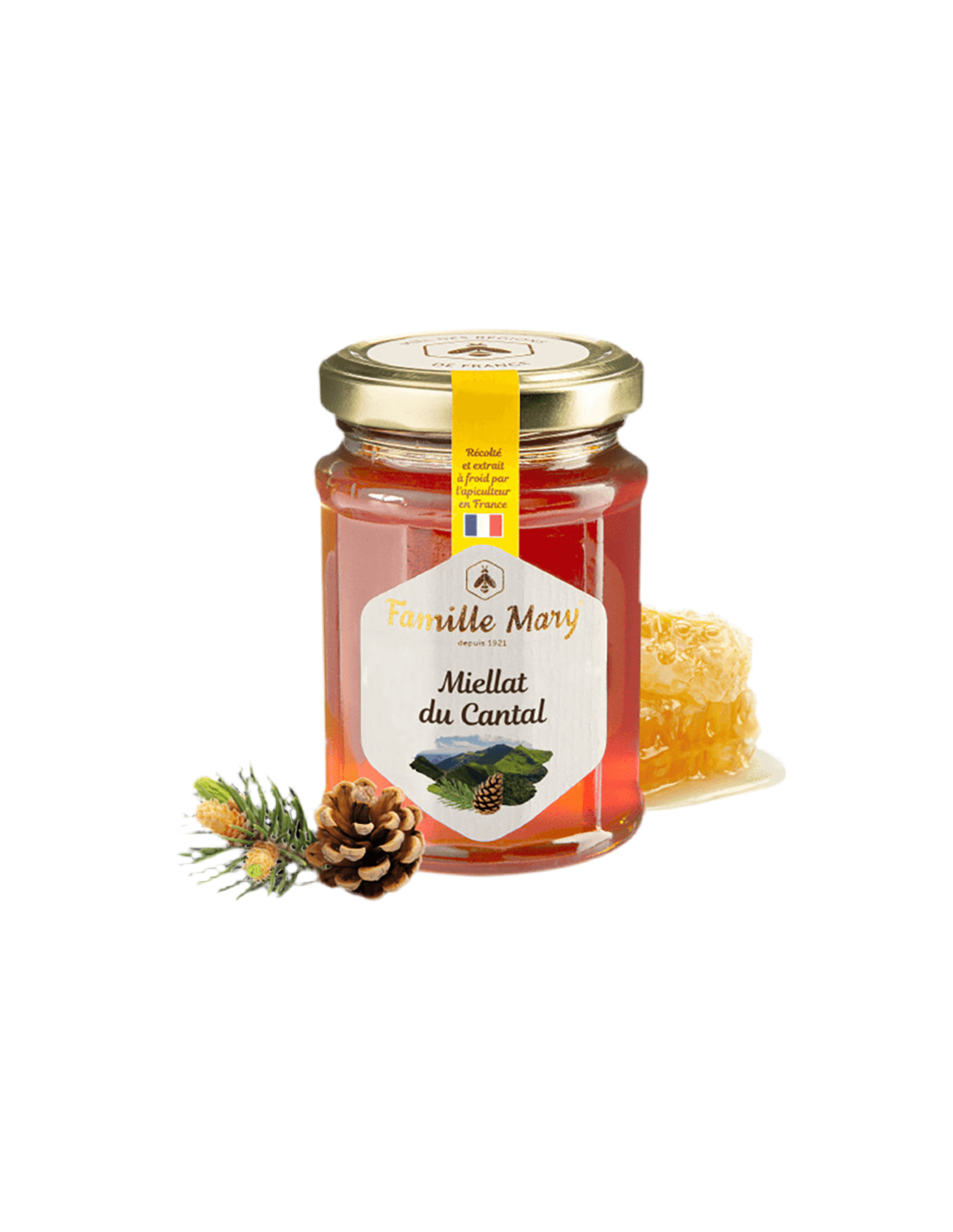Miellat du Cantal/Bienenhonig (Honigtau) aus Kiefernnadeln, 230 g Famille Mary