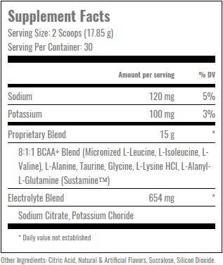 Modernes BCAA Plus – 535 Gramm