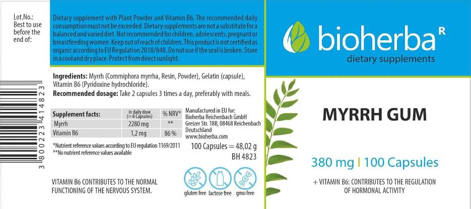 Myrrhengummi 380 mg – 100 Kapseln