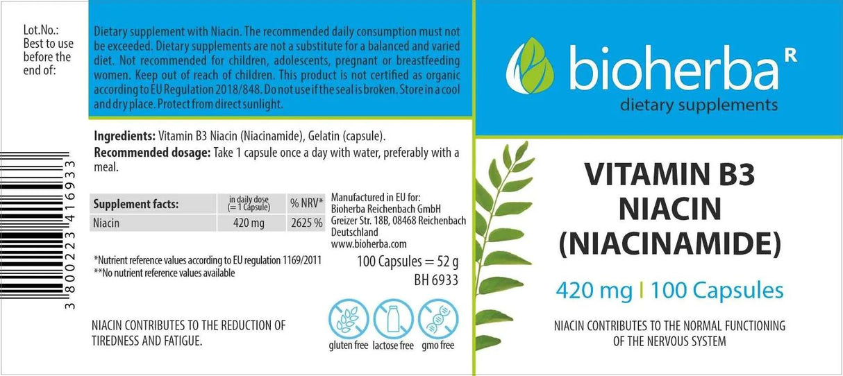 Niacinamid 420 mg – 100 Kapseln