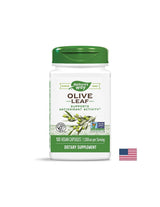 Olivenblatt 500 mg – 100 Kapseln