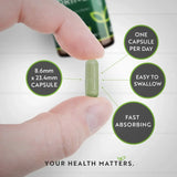Bio-Moringa – Bio Moringa 600 mg 120 vegane Kapseln