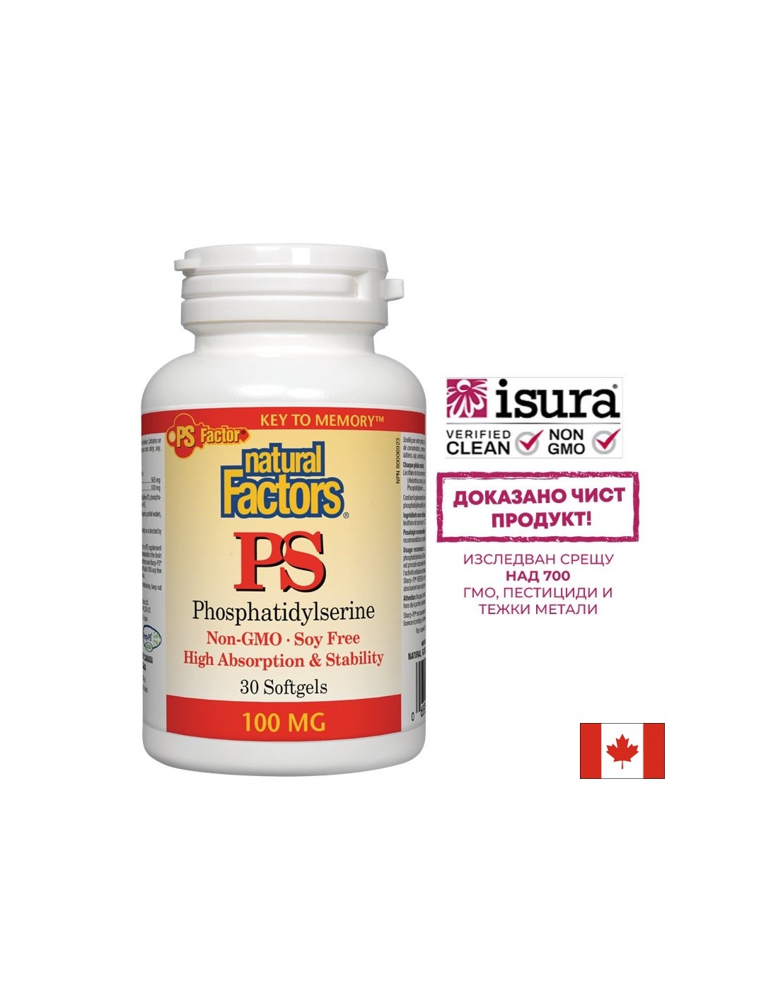 PS Phosphatidylserin 100 mg – 30 Gelkapseln