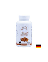 Pangam Nahrungsegänzung mit Pangamat B15 - Pangam (Vitamin B15), 120 Kapseln El Compra