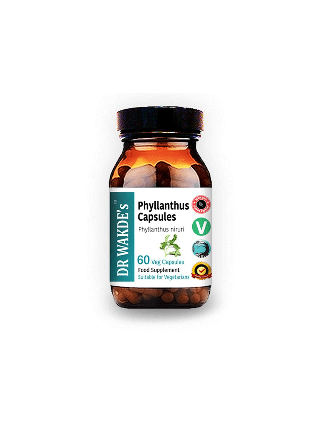 Phyllanthus – bei Erkrankungen der Leber und Milz, Gicht, 60 Kapseln