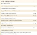 Pure Food Super Mushroom NON-GMO 60 Kapseln