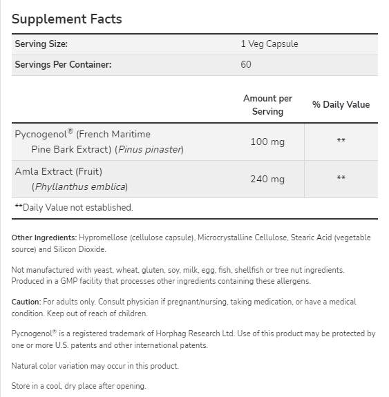 Pycnogenol 100 mg – 60 Kapseln