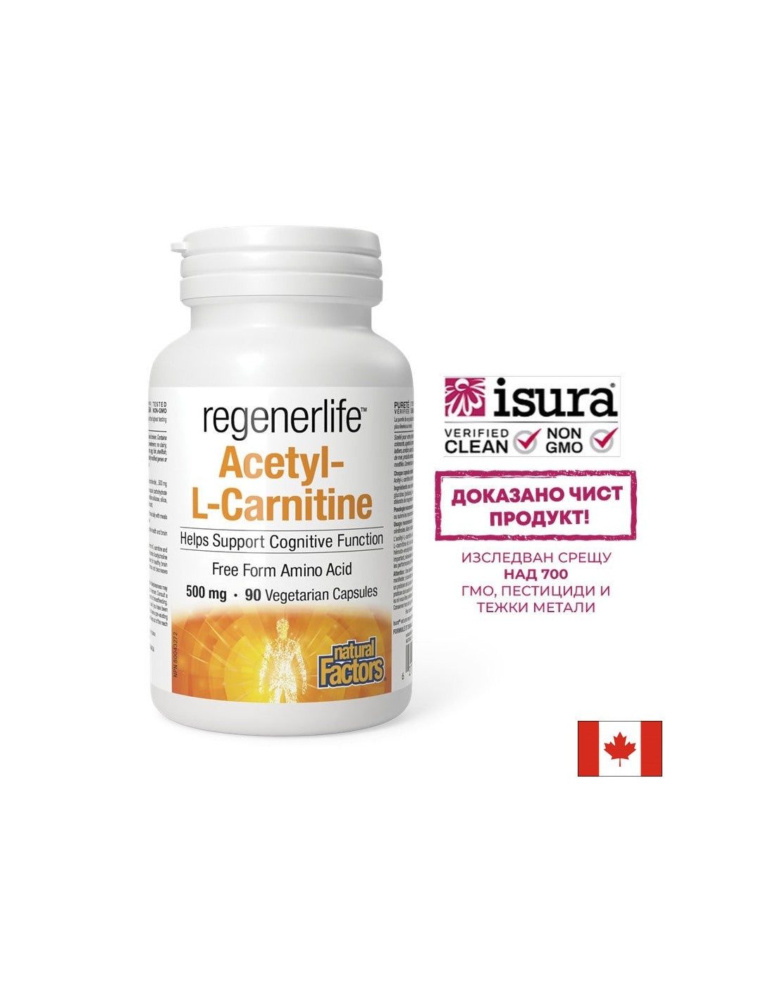 Acetyl-L-Carnitin Regenerlife™ – Energie, Konzentration und Stoffwechselunterstützung, 90 Kapseln