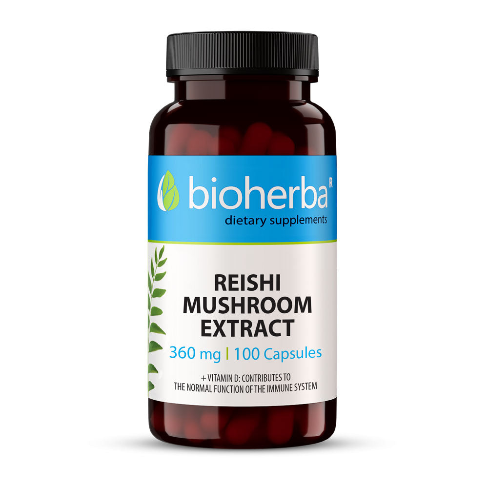 Reishi-Pilzextrakt 360 mg – 100 Kapseln