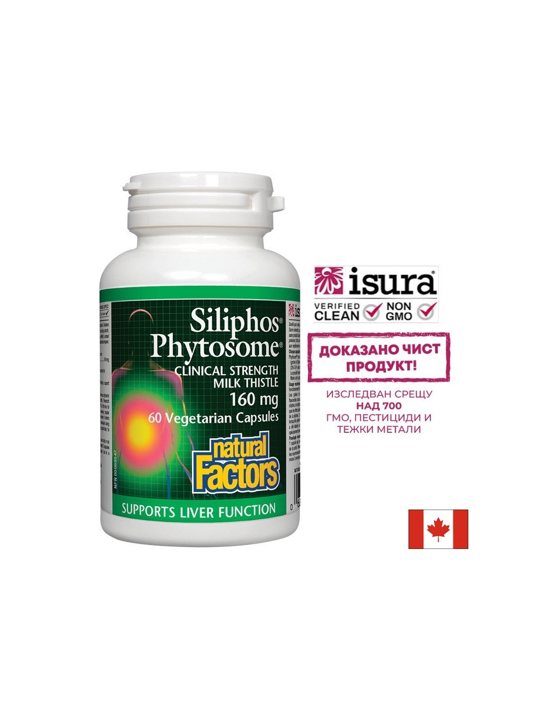 Premium Mariendistel/Siliphos Phytosome 160 mg – 60 Kapseln