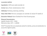 Spike Lavendel | 100 % reine Lavandula Latifolia – 30 ml