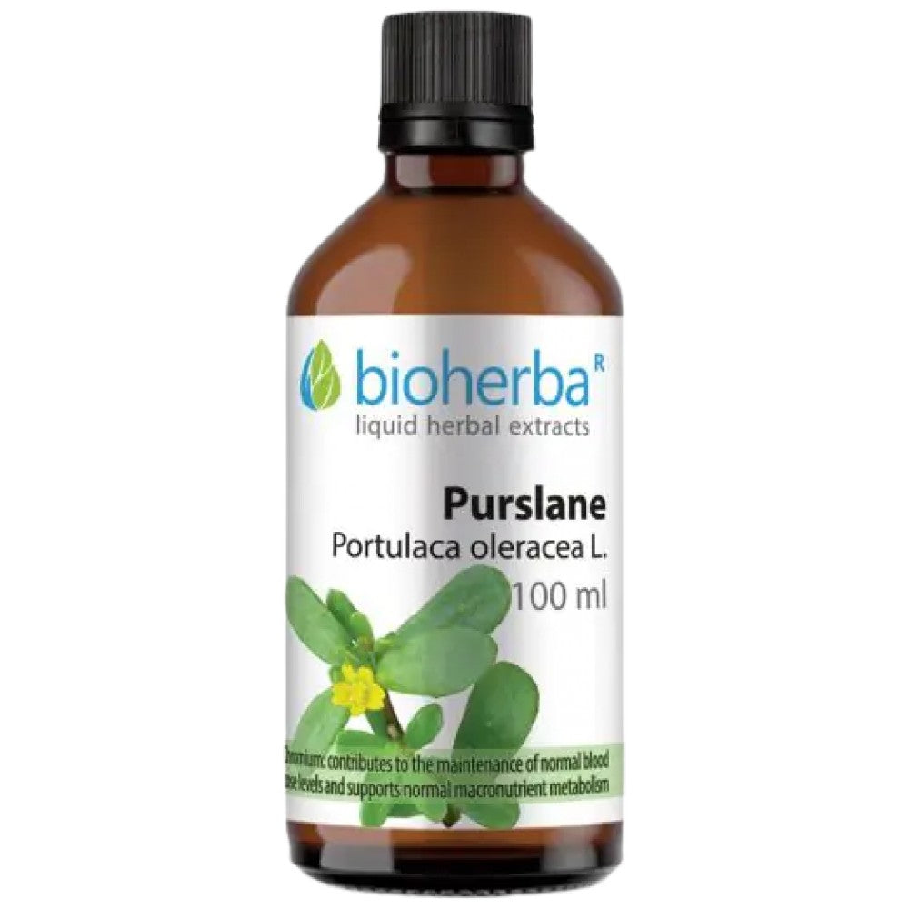Tinktur Portulaca oleracea (Portulak) - 100 ml