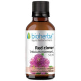 Rotklee-Tinktur - 50 ml