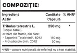 TriBul 250 mg | Tribulus Terrestris-Extrakt – 60 Kapseln
