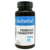 Tribulus Terrestris 250 mg – 100 Kapseln