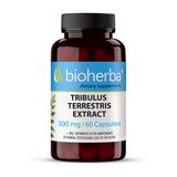 Tribulus Terrestris-Extrakt 300 mg – 60 Kapseln