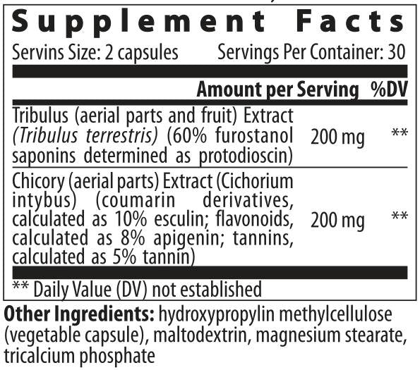 Tribulus Cichorium - 60 Kapseln