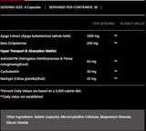 Turkesteron 1200 | mit Beta-Ecdysteron & AstraGin – 120 Kapseln