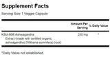 Ultimatives Ashwagandha 250 mg/KSM-66 – 60 Kapseln