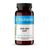 Uva Ursi Leaf 250 mg – 100 Kapseln