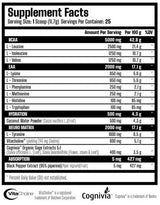 X Neuro | EAA, BCAA und Nootropikum – 292,5 Gramm