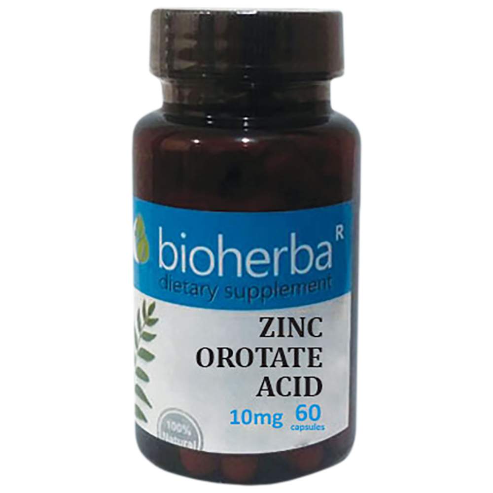 Zinkorotatsäure 10 mg – 60 Kapseln