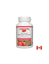 Apfelpektin -Konzentrat 500 mg - 90 Kapseln