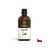 Nieren und Harnweg - schwarzer Pappel, 50 ml Tinktur