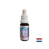 Balances Intellekt und Emotion - Mahasiya Essenz (Engel Essenz Nr. 14), Tropfen 15 ml