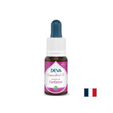 Ausgleich von Emotionen bei Kindern, Blumenessenzen, Bach -Methode Nr. 11, 15 ml fallen