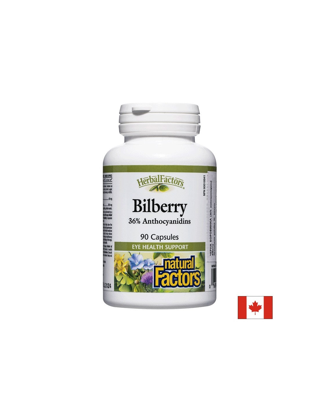 Heidelbeere 345 mg - 90 Kapseln