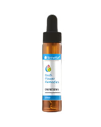 Bach -Tropfen Impatiens 20 ml